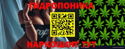 дурь Можайск